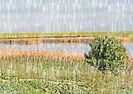 2020-01-26/7fcd7b497c36c74e38c562513ac5973f_22192b1a45d6483ae83650f78b9d23fe