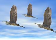 2020-01-26/e67a75ee1c95bc12e4d571827ca832b2_74f8695f71bc591b34c09338a699a9da