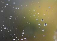 2020-01-27/2a089bf39a03fdb5a706a1964206989a_0fb76367bdd1c592fa8bc7e5d457decf