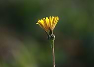 2020-01-27/5848fa58a26c0a5c7de251feee274a67_de4a54c36adf0776ba92ca32041e7298