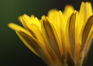 2020-01-27/b4df16079889583367de7530a8ef262c_fc4db36642b0377e654002cbc5209812