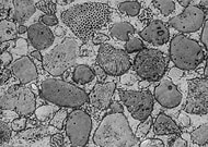 2020-01-28/0a3e7aab58ecb63ea2e4e5f85c504b96_75a1955644d9d789a5dfc4c66faefcd1