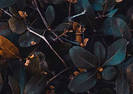 2020-01-29/75afad179cfd6e1d377444a3d36b09e2_c653f5c867fc6f63e7e5508322ed326c