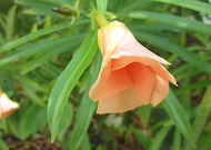 2020-01-29/ebb750122cf13cb079b118cc4d7bf08c_2ae3ac5525326829523c6cc15b6887a7