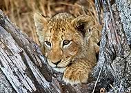 2020-02-03/c74195693ef2c79b385de3f0730137db_87bc07a77e7d4977855997c3370443e6