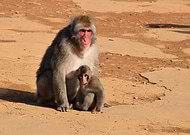 2020-02-07/08c165ae4ac45b22c97ae60602db4829_fa3c25a801fccf7f9343ce3247db24ad