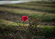 2020-02-08/838ee4c8bc2bf19f941935c17abaf1a6_3d8f71f7efcfcd576d5e8ae7d43f9f8f