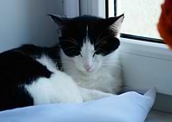 2020-02-08/e6996601216b0c07b32e6663c06a1890_06ee9d40d9805f959ec2b6740fc50432