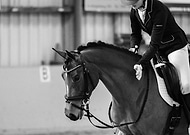 2020-02-10/290c72099447d956fd1c8e748b48050a_7b680107507e51cdbfd3b29b6a1430a9