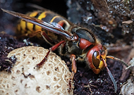 2020-02-10/df09eb3d132cdad3474f085502915393_70c06763dd65bf952952b05606d05350