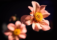 2020-02-11/3301b375e31bb0fd298c6c2538e586a9_e05b364a12a7554c8ed4546105bdfb83