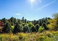 2020-02-13/b8e7a585376284ed06d8389e3c4a6e42_a3e7b737c4d6703f17974122e598caec