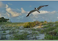 2020-02-14/4a4e301fb76597ae88bf13fe48f6c83f_f0914e97fbad3ab8bdad14820d814239