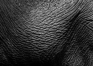 2020-02-14/7795583d1e29b7190c403d5049e07311_d56caffa3e3c25d2fad29097d9d1c966