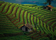 2020-02-15/873ef0e21e6cf557921b220f6c323fa8_44b2b1a01591d171b568e7c5d941ab77