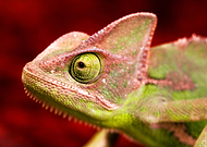 2020-02-15/90589745e112ba8b5b65e57f0eacc199_55869d28217435125a4b2f2ad3432569