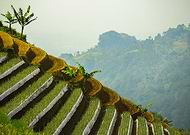 2020-02-15/bc299950cb3cffaea42ff5ebdb293073_1b7a9d900658f9d0d5c80bdf6b77030b