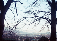 2020-02-16/57797cc32c5b6ee1d3acb81d92f7ed68_e6351e32e5250f8b59b3f9377e387d0f