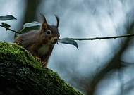 2020-02-17/3dbabdb61ca32c4088ed64e3c350c034_077185a5bb501bca2bdf0fea46d40ab6