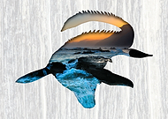 2020-02-18/15610bc596b36f10e8189a8078ae0943_162dd6608f6bb2e77ac09f5aac322343