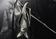 2020-02-18/2a687eec9f7a1db6cd70afe3d3181d87_7a1c9881c3c1ed0d3e0f88652a93bc37