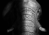 2020-02-18/94f453f61638d858ac7e490d0971c9e3_9f196482c665a2cdbac55bed748a8681