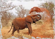 2020-02-19/1ff1940039f73bad0363d987ab9de659_639c366860303ea9d6d586b48b08b8f0