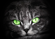 2020-02-19/2d13c41abd172630f63631991d080edd_0748b33a215d840fa2e708cda2270bca