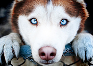 2020-02-19/a1f299ef33408448942b1e0b82641207_97c18eab29b87d11d77148fffb0ad586