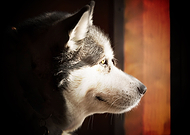 2020-02-19/f2f3528138b7daeb7f2ea4b97a711fb7_fc2c34f49301448775a58fa70be9584a