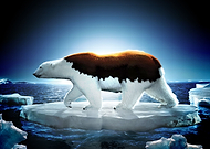 2020-02-21/91d2c0e94bd4121fe8a08e70a46f7e83_c77f8143c28e51a8bf3527c93ab4798b