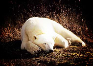 2020-02-21/f920e32bbc38b7caaf9d3a0975ab21a8_ade4f7b167e8dfdf5afe4336db70bebd