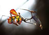 2020-02-24/7a99632c50d966fec481afd5719d4f3e_2cf88673a90d7a3a53c901daa3318757