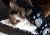 2020-02-24/fef2da4a3248e0e9528a611141569419_c081cf5d2d14ad88f26c33efd823c8d4