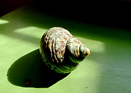 2020-02-25/2988f5cf54ed13edd406e8b060bdc4d2_54a6c8c2d37c1e1d0918951c1b480b8a