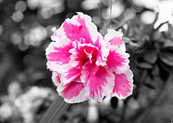 2020-02-27/2892ec1e1ba6699da3160928f2ddafc3_d8f2abc620244e1480b8b92e830171b6