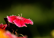 2020-02-27/972c321dcc3cbd2f4065401ac0047dd1_138e524ec2fe0e80c27864d56515e3e5