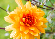 2020-02-27/9cae2f1076435007f7f9d2161f8349ab_54da0664a7f1a93e0d00385489a1214b