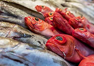 2020-02-27/b245866390752d2ce3d27c9936515dce_3c2be5f7e7991e76c942e024165ffa32