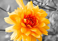 2020-02-27/d3b6d1bb994d5fd77962be7de2f02e2b_dfb70ee05f5f0545ad3e811a044bfedc