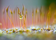 2020-02-28/fc39dfce9b01899e2698cd9efc48f106_e26626a0b7e697a2ba7c60b108674e78