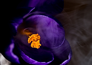 2020-02-29/2653ab457aed24d9774a34c91b83a3d2_2416d3f36d1aa632d9c97032abba3d9f