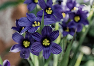 2020-03-01/3be76bd23ef299c7711968e62e1f5bfb_88130adcdec8195eca894c1555db015f