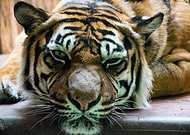 2020-03-01/8d955fb847eea034e2c9598010969c5a_b3db127412dd83089a24afad4900157c