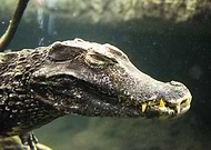 2020-03-01/b2914b40e44e33b2703848106a942ec3_342fbd362b375fbdf0c46f59efb1f4d3