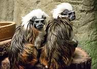 2020-03-01/e3e08416e68ffd791c2a5e2a26a70980_b18cfbcaab0d8688bf96e0d058aa57de