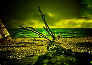 2020-03-02/192f07c27ff4396b60a681db34e74a5e_4147b4e45ec171346d5a66a71da9425b