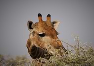 2020-03-02/26ec5d6e12c83b322f096c6298f89a4b_95aaee44e62cd27d10ebd7741e4addca