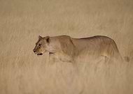 2020-03-02/d49c46c3e9fdfa1fa1825749d9736f3d_dd618a1113df6f6752a510043e9913d0