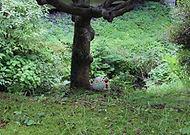 2020-03-02/f8ccd424a4b96c506e4095693b1be42e_6fca1a6d4ff39fb8fa07182c4ebba516